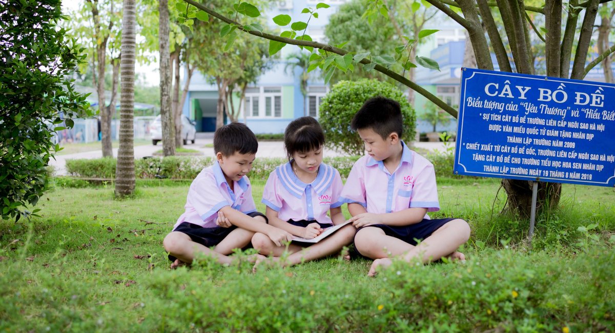 Mầm non